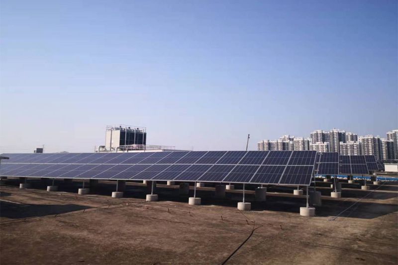 1647010482447014.jpg 01.jpg