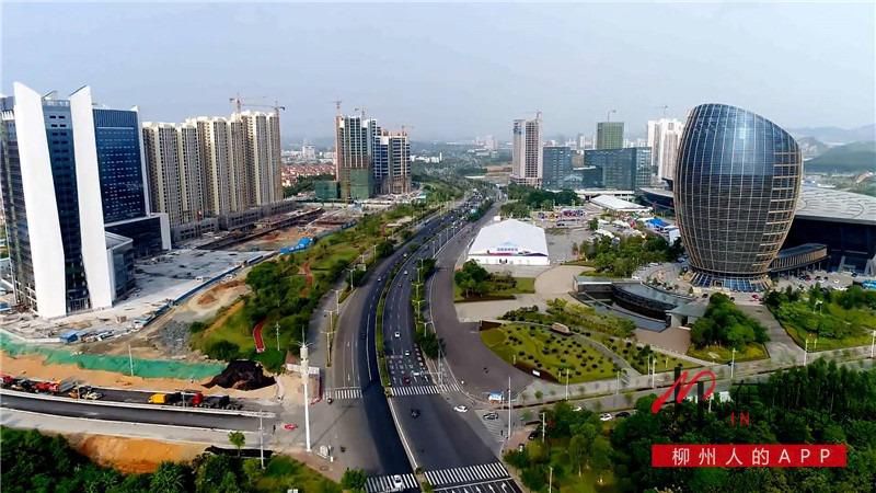 1647010816577615.jpg 03.jpg